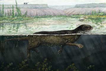 Απολίθωμα στην Αρκτική δείχνει πώς οι φώκιες μετακόμισαν στη θάλασσα