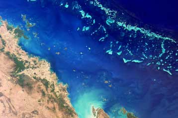 Ελπιδοφόρα ανάκαμψη σε τμήμα του Μεγάλου Κοραλλιογενούς Υφάλου