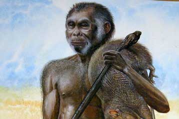 O Χόμπιτ της Ινδονησίας «ήταν πράγματι ένα άλλο είδος ανθρώπου»