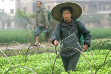 Εννέα ακόμα δηλητήρια στη λίστα των απαγορευμένων οργανικών ουσιών