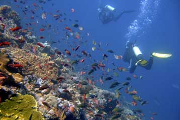 Αρχισε στην Ινδονησία η Παγκόσμια Διάσκεψη για τους Ωκεανούς