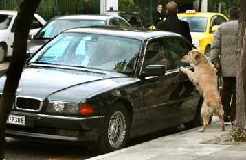 Φορο-τεστ στους οδηγούς ακριβών ΙΧ ξεκινά το υπουργείο Οικονομικών