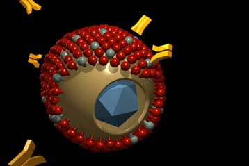 Κοινός ιός ενοχοποιείται για αύξηση της αρτηριακής πίεσης