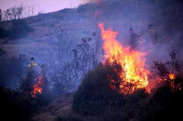 Τέσσερις φωτιές ξέσπασαν στη Θάσο, υπό πλήρη έλεγχο η πυρκαγιά στο Αγιο Όρος