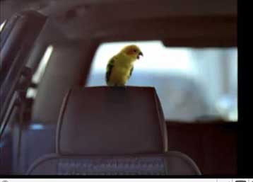 Στο επίκεντρο της προεκλογικής αντιπαράθεσης και τα τηλεοπτικά μηνύματα