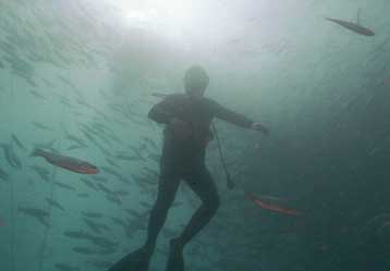 Δύτης του National Geographic έχασε τη ζωή του μετά από κατάδυση στο «Βρετανικό»