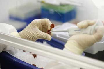 Πρώτο επιβεβαιωμένο κρούσμα της νέας γρίπης στην Κύπρο