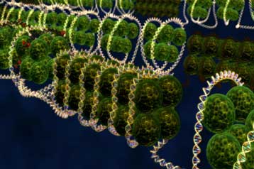 Πειραματικά φάρμακα «αναστρέφουν τη νόσο Αλτσχάιμερ σε ποντίκια»