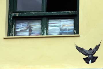 Νέος γύρος αντιπαράθεσης κυβέρνησης-ΠΑΣΟΚ με φόντο τη Siemens