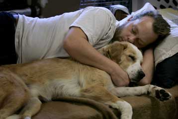 Εγκρίθηκε στις ΗΠΑ το πρώτο αντικαρκινικό φάρμακο ειδικά για σκύλους