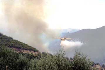 Πυρκαγιές ξέσπασαν σε Αργολίδα, Εύβοια και Πήλιο