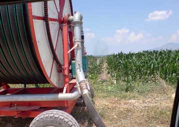 Επιστροφή αγροτικών χρηματοδοτήσεων ύψους 244 εκατ. ευρώ ζητά η Κομισιόν