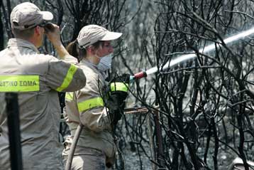 Μεγάλη πυρκαγιά έκαψε πευκοδάσος στη Ριτσώνα