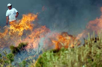 Υψηλός κίνδυνος για πυρκαγιές στην Αττική και την Εύβοια