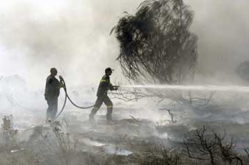 Πυρκαγιά -πιθανώς από κεραυνό- στην ακτή Καλογριά στη Σιθωνία Χαλκιδικής