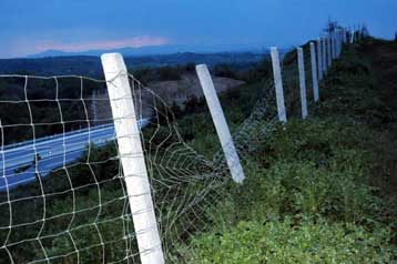 «Θωρακίζεται» η Εγνατία οδός για να προστατευθούν αρκούδες και οδηγοί