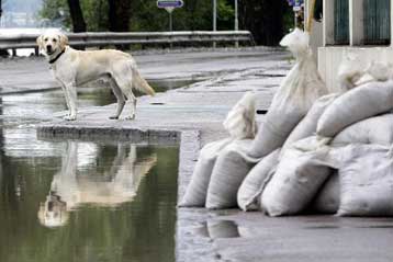 Οκτώ νεκροί από πλημμύρες στην Τσεχία – Προβλήματα στην κεντρική Ευρώπη
