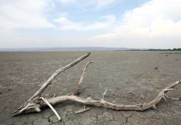 Γραπτή προειδοποίηση της Κομισιόν για την Κορώνεια