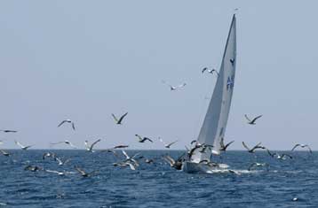 Καλό ξεκίνημα στα laser από τον Χειμώνα στην Πεσκάρα