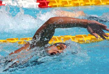 Τέσσερα μετάλλια στην ελληνική κολύμβηση με ένα ασημένιο και τρία χάλκινα