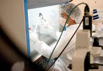 Μικρή πρωτεΐνη παίζει ρόλο κλειδί στη νόσο του Huntington