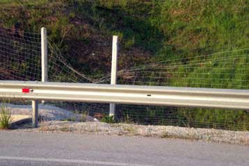 Σοβαρός τραυματισμός αρκούδας από Ι.Χ. στην Εγνατία Οδό