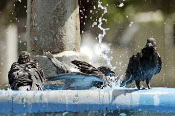 Σε κλοιό καύσωνα η χώρα, ανάσα δροσιάς από την Παρασκευή