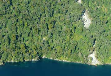 Ισχυρός σεισμός έφερε τη Νέα Ζηλανδία πιο κοντά στην Αυστραλία