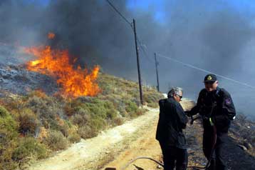 Μάχη με τις φλόγες σε περιοχές της Βοιωτίας και της Ιεράπετρας