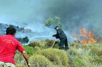 Υπό έλεγχο η φωτιά που ξέσπασε στη Ζάκυνθο