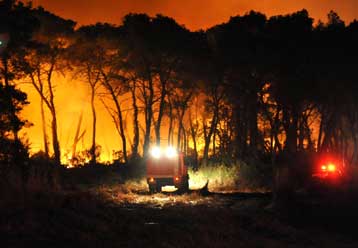 Σε ύφεση η πυρκαγιά στον Πάνορμο Σκοπέλου – Δεκάδες φωτιές σε όλη τη χώρα