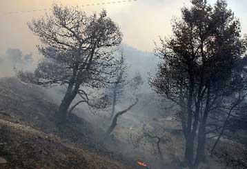 Υπό μερικό έλεγχο πυρκαγιά σε δάσος της Μυτιλήνης