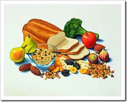 Φυτικές Ίνες: Ασπίδα προστασίας έναντι του καρκίνου