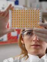 Εντοπίστηκαν τα πρώιμα βλαστοκύτταρα που δημιουργούν την καρδιά