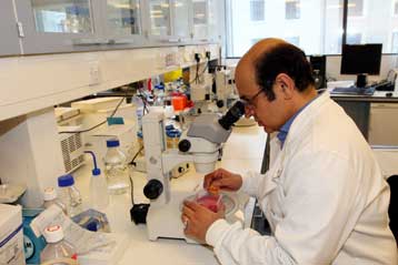 Ανθρώπινα σπερματοζωάρια υποστηρίζουν ότι δημιούργησαν Βρετανοί ερευνητές