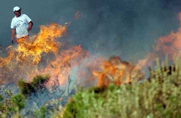 Σε ύφεση τα πύρινα μέτωπα στο Μαίναλο Αρκαδίας και στην Καβάλα