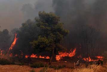 Υπό μερικό έλεγχο τα πύρινα μέτωπα σε Καβάλα και Πελοπόννησο