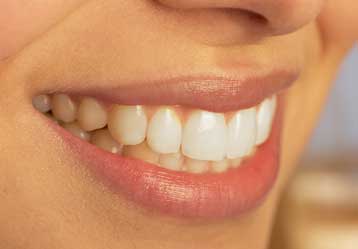 Νέα δόντια μπορούν να «φυτρώσουν» εμφυτεύοντας ρίζες