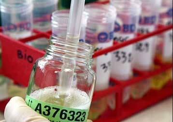 Εκτός Βερολίνου οι ντοπαρισμένοι Τζαμαϊκανοί αθλητές του στίβου