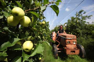 Αντιδρά η Γαλλία σε αίτημα της Κομισιόν για επιστροφή αγροτικών επιχορηγήσεων
