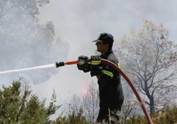 Υπό έλεγχο η πυρκαγιά σε δασική περιοχή στη βόρεια Ζάκυνθο