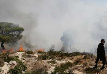Υπό έλεγχο η φωτιά σε δασική έκταση στην Αγ.Μαρίνα της Νέας Μάκρης