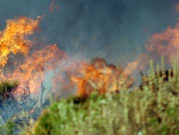 Υπό έλεγχο η πυρκαγιά στο Μαρκόπουλο Αττικής