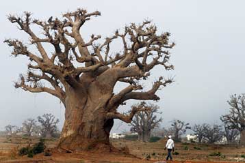 Αποζημιώσεις 67 δισ. δολαρίων ετησίως για την κλιματική αλλαγή επιθυμεί η Αφρική