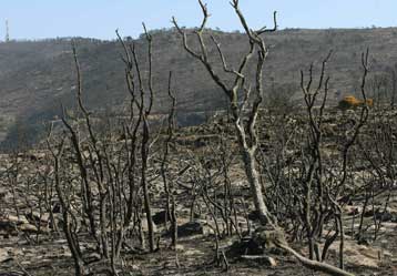Σε επιφυλακή για μικροεστίες, ενώ αρχίζει η αποτίμηση της καταστροφής στην Αττική