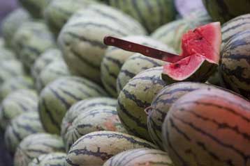 Παραγωγή βιοκαυσίμων τώρα και από ελαττωματικά καρπούζια