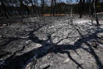 Τον αρχηγό της Πυροσβεστικής καλεί για κατάθεση ο Επιθεωρητής Δημόσιας Διοίκησης