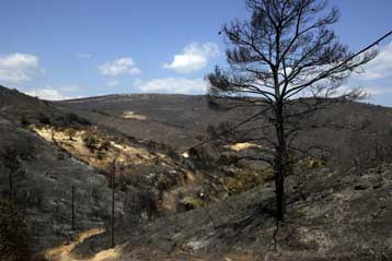 Ασυνεννοησία για την αντιμετώπιση της πυρκαγιάς «δείχνει» η έρευνα Ρακιτζή