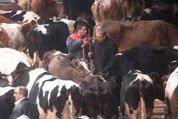 Μέτρα ανακοίνωσε ο Σ.Χατζηγάκης, αλλά οι κτηνοτρόφοι έκλεισαν τα Τέμπη