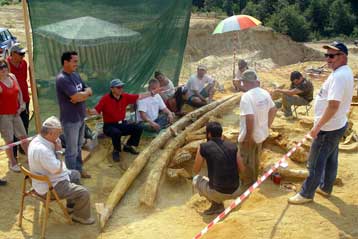 Ρεκόρ Guinness για χαυλιόδοντες 5 μέτρων στα Γρεβενά